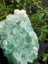 Green Apophyllite - 311g