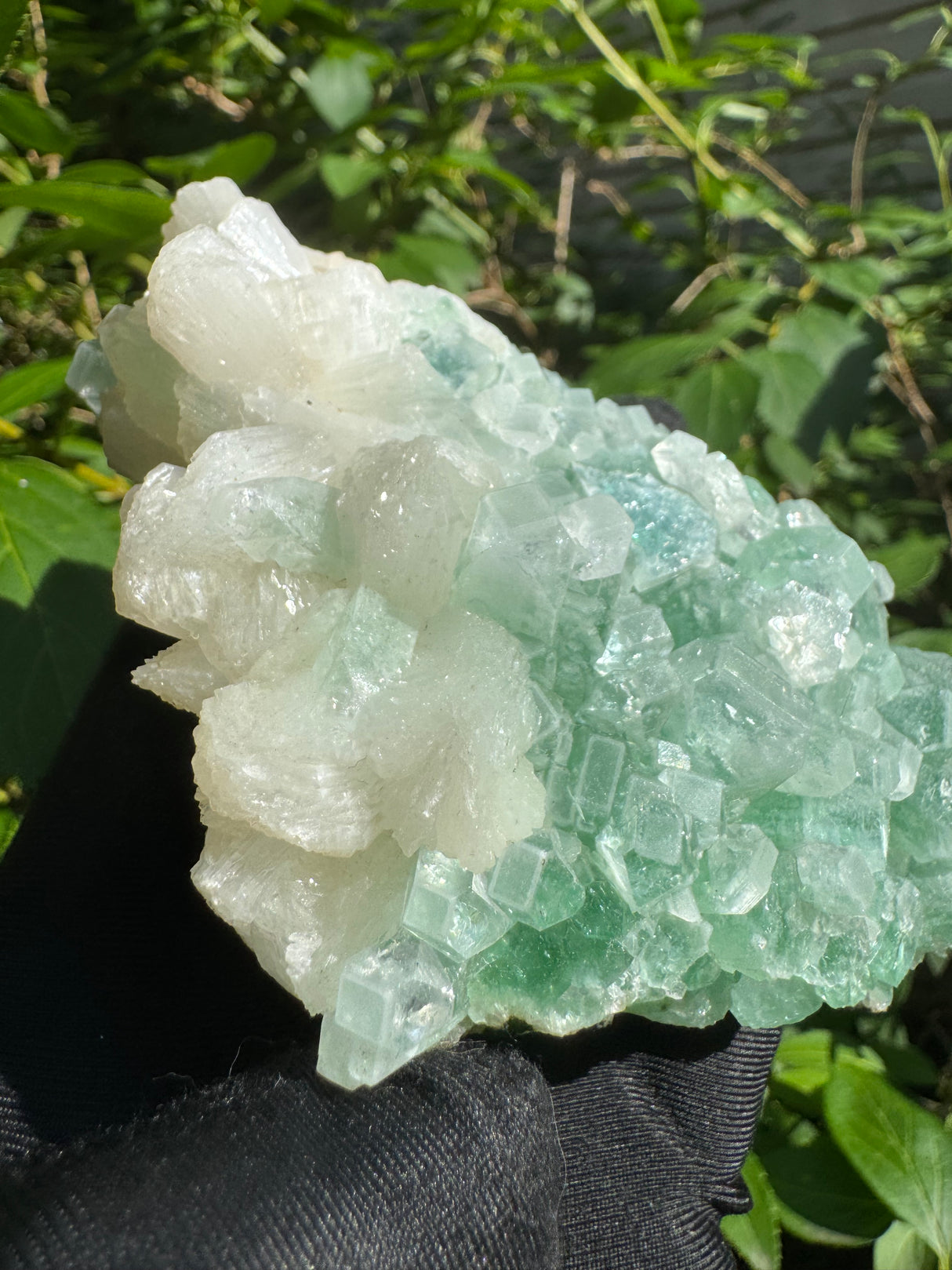 Green Apophyllite - 311g