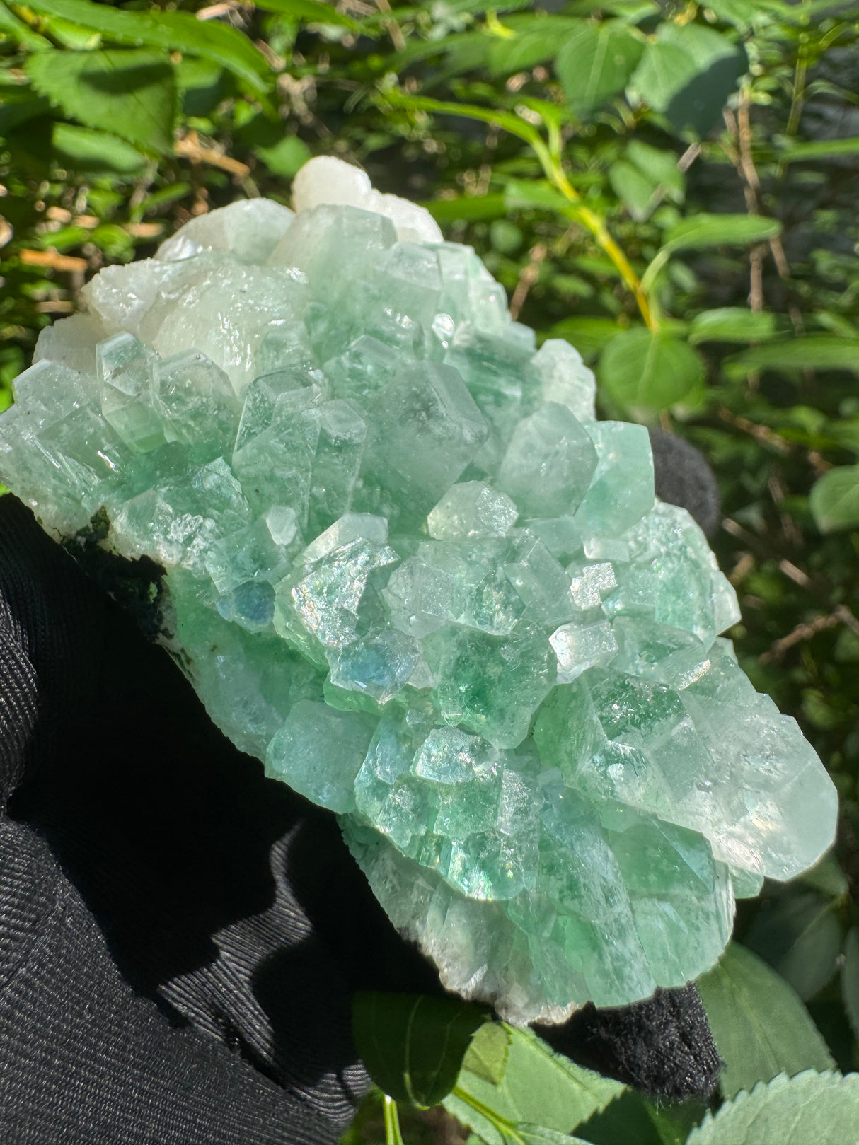 Green Apophyllite - 311g