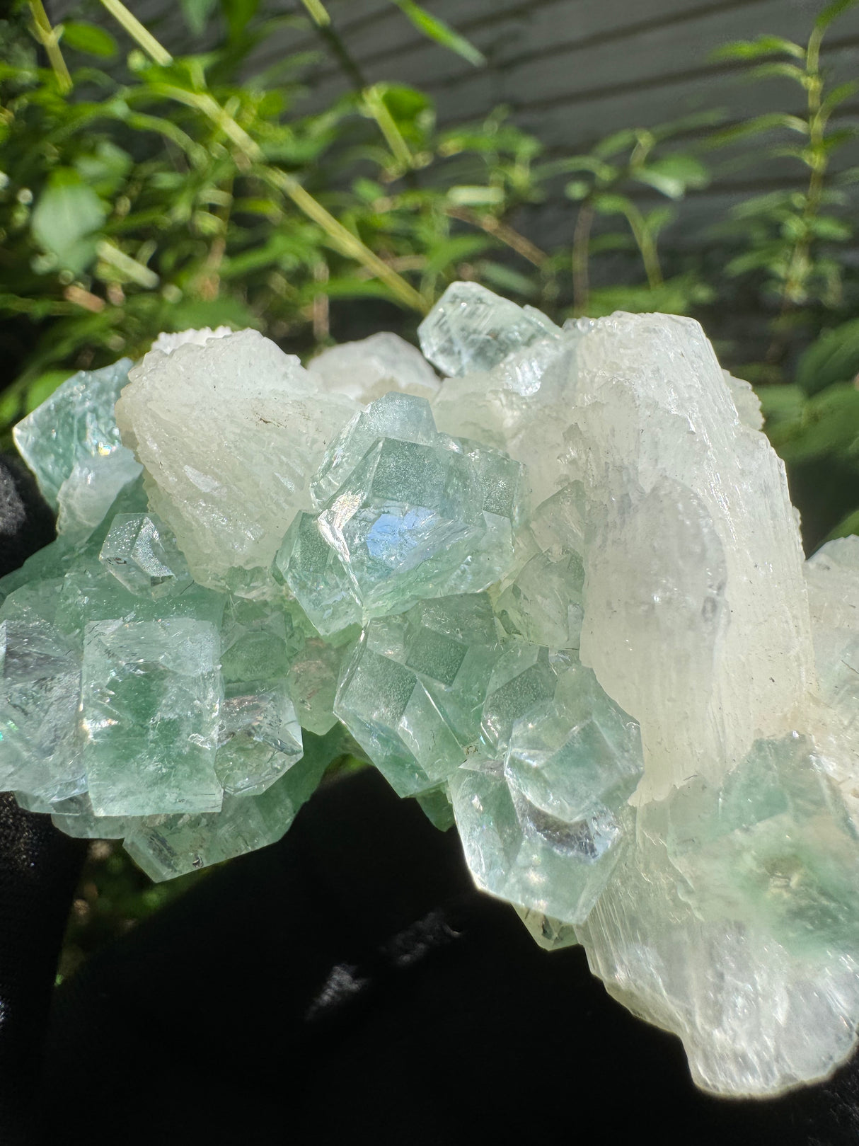 Green Apophyllite - 128g