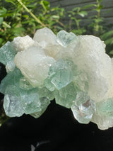 Green Apophyllite - 128g