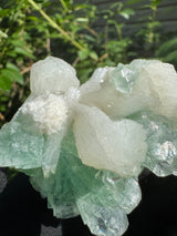 Green Apophyllite - 128g