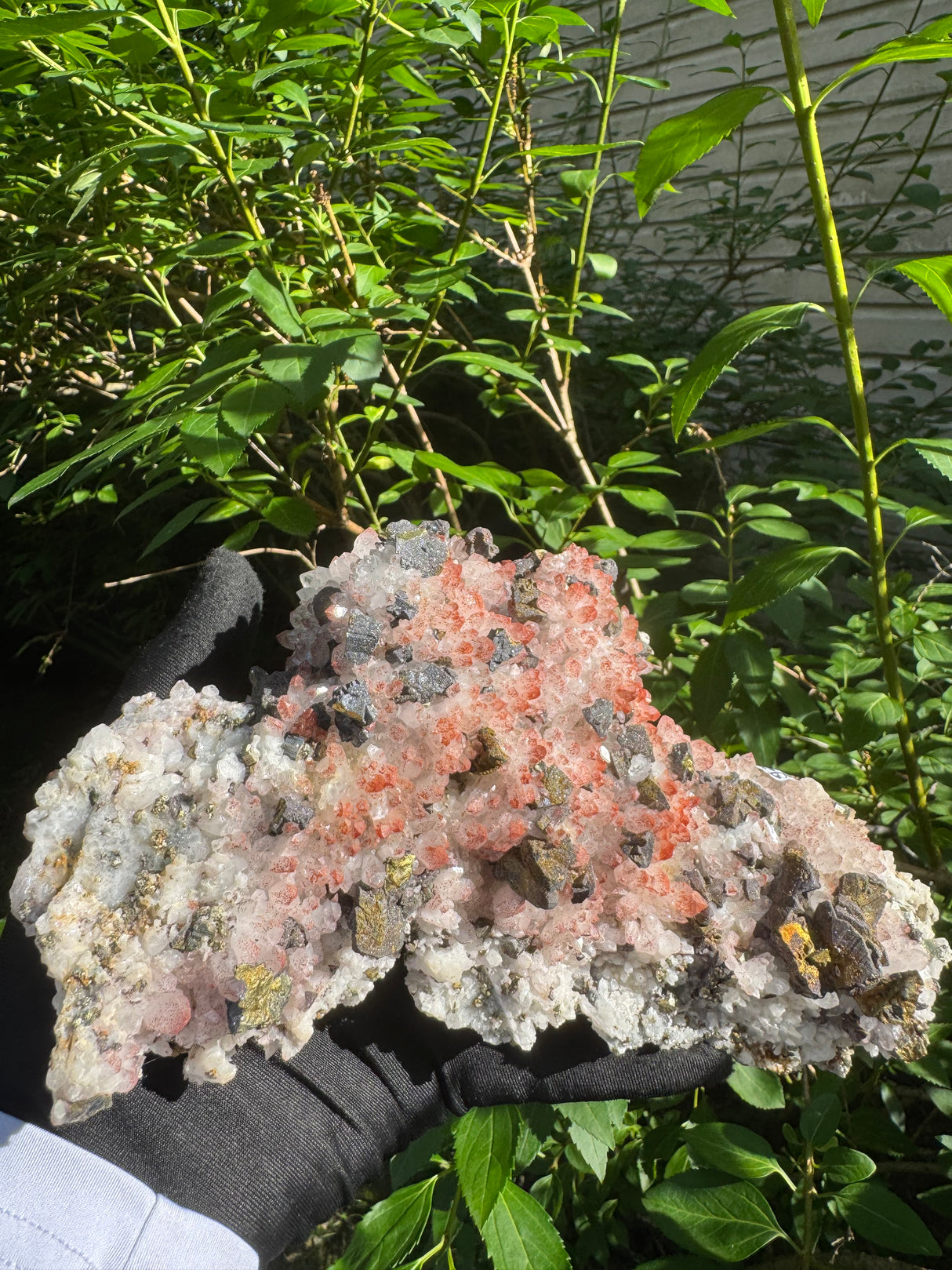 Pyrite and Quartz Masterpeice - 1090g