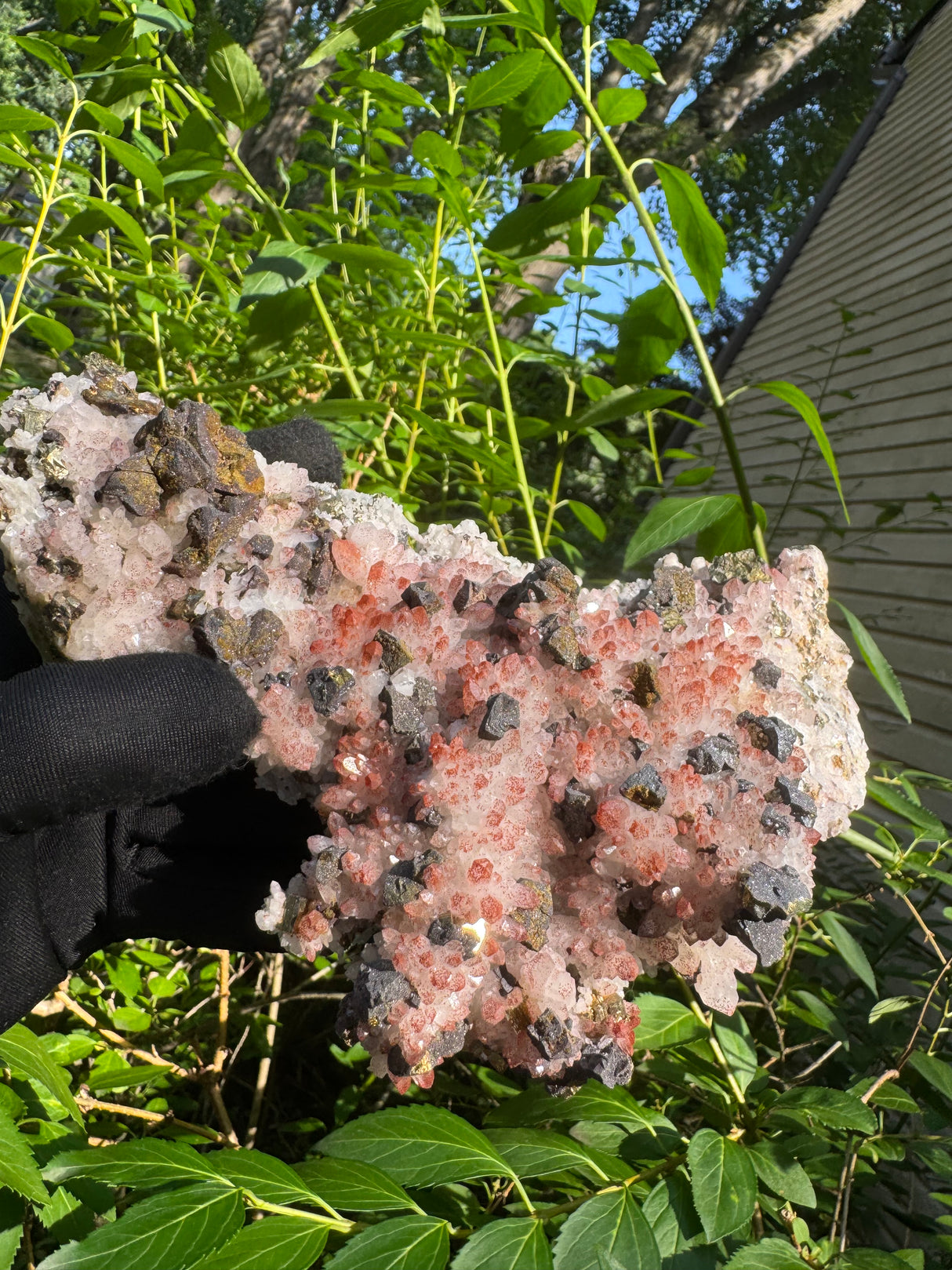 Pyrite and Quartz Masterpeice - 1090g