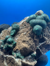 Malachite Specimen - 72g