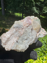 Kunzite Specimen - 302g