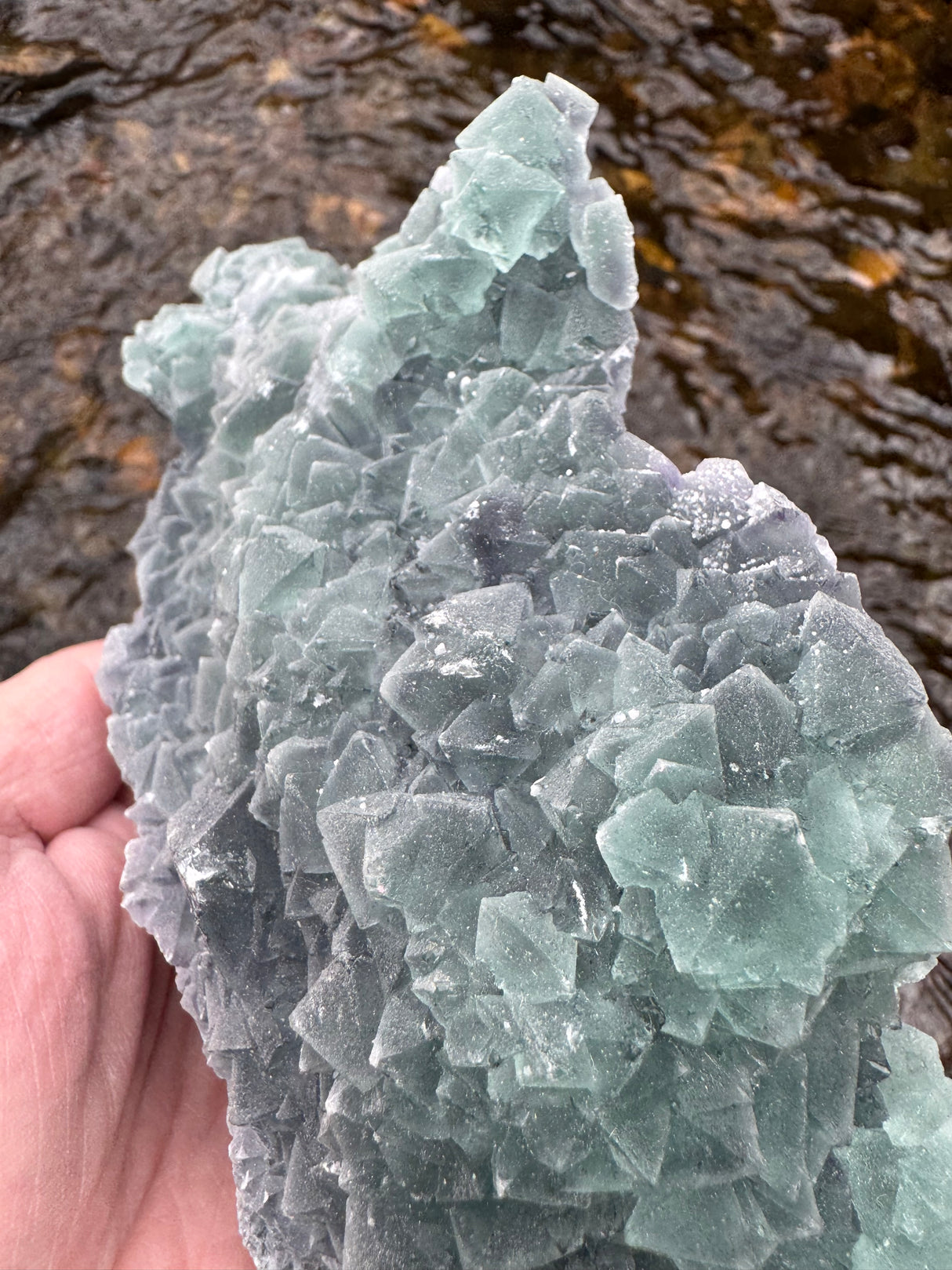 Fluorite Specimen - 1029g