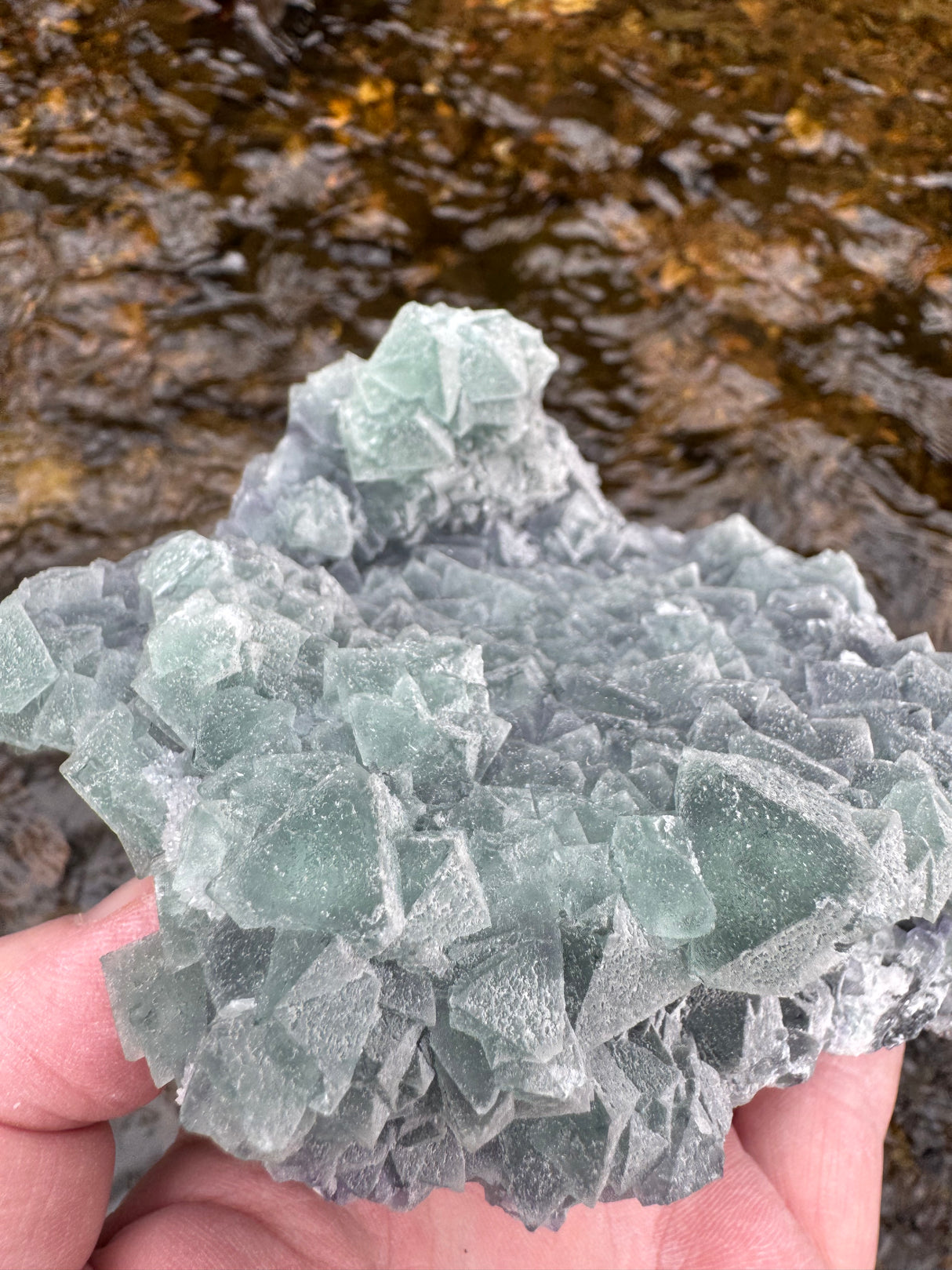 Fluorite Specimen - 1102g