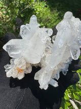Clear Quartz - 225g