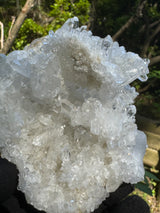 Faden Quartz Specimen - 465g
