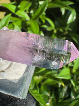Vera Cruz Amethyst - 20g