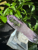 Vera Cruz Amethyst - 20g