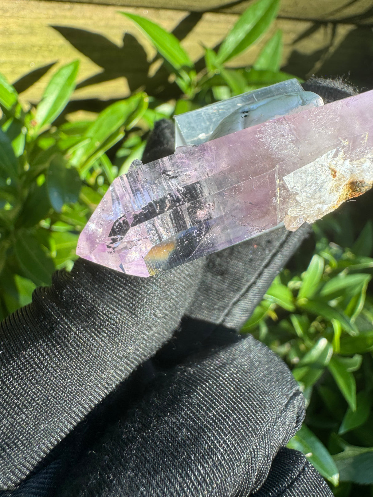 Vera Cruz Amethyst - 20g