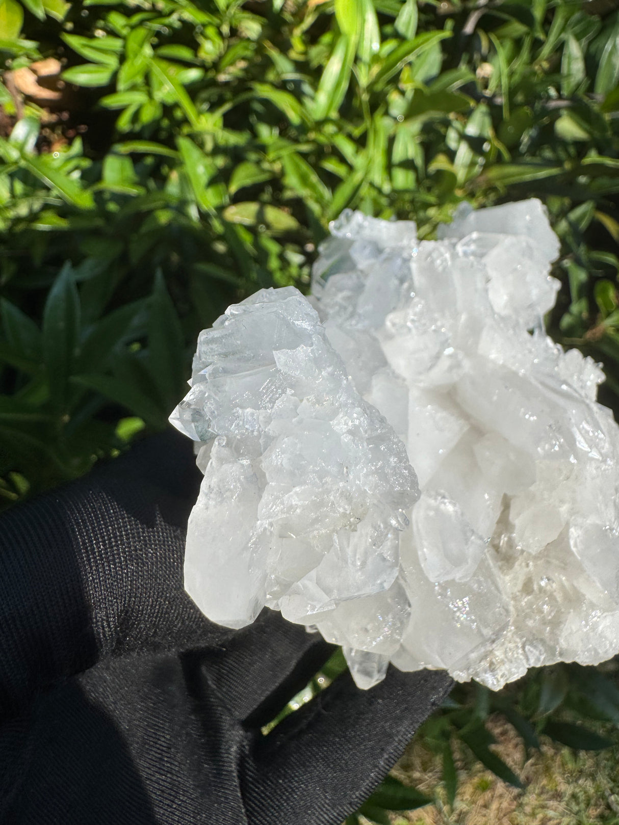 Faden Quartz Specimen - 465g