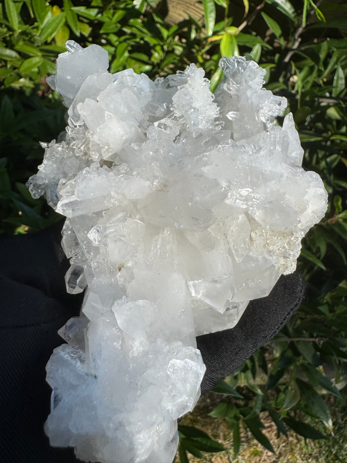Faden Quartz Specimen - 465g