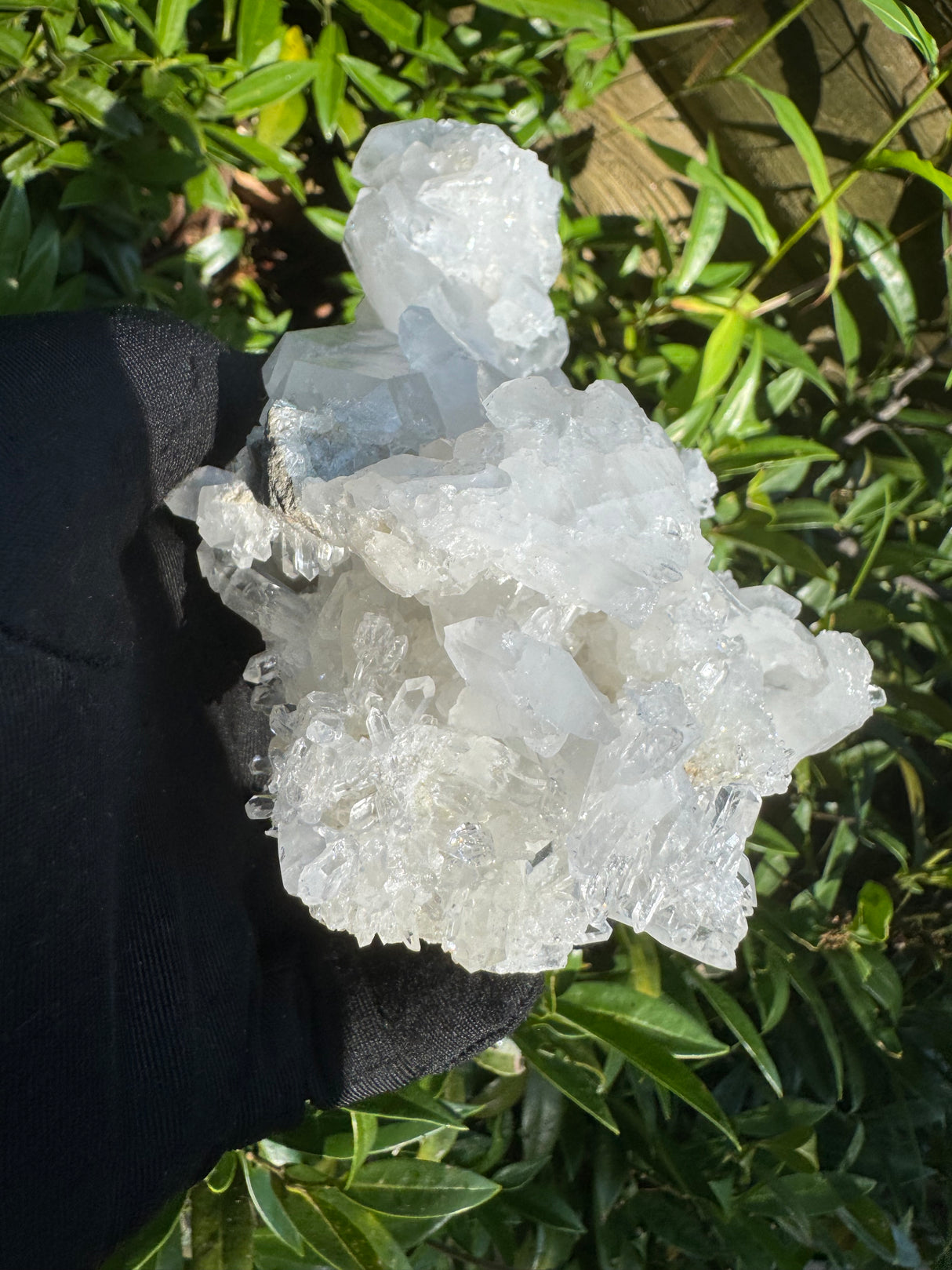 Faden Quartz Specimen - 465g