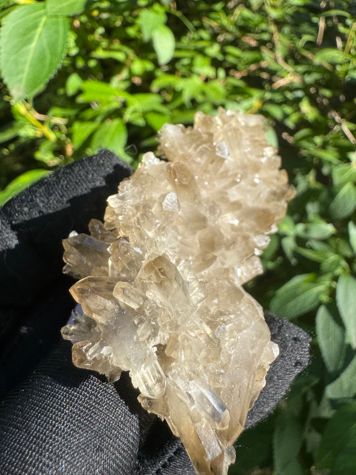 Smoky Quartz Specimen - 71g