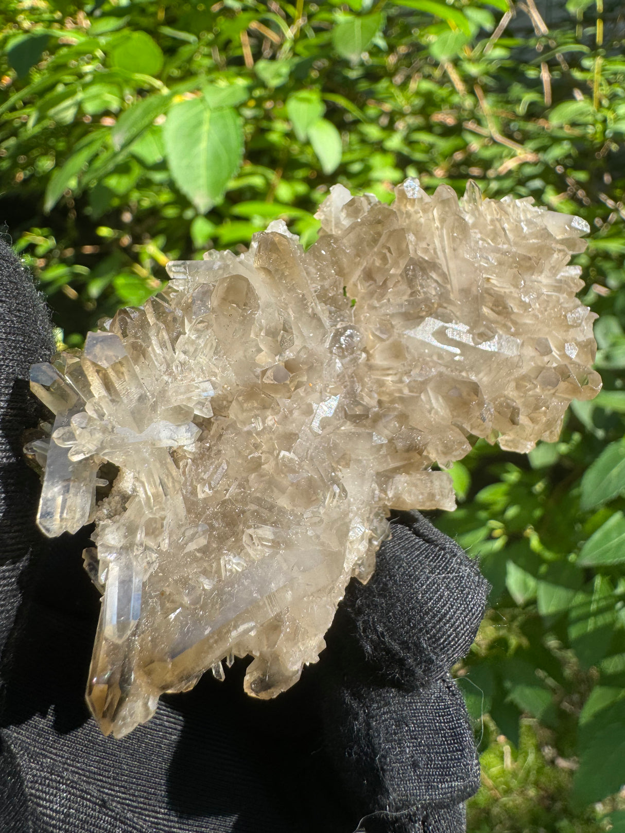 Smoky Quartz Specimen - 71g