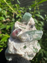 Tourmaline Specimen - 48g