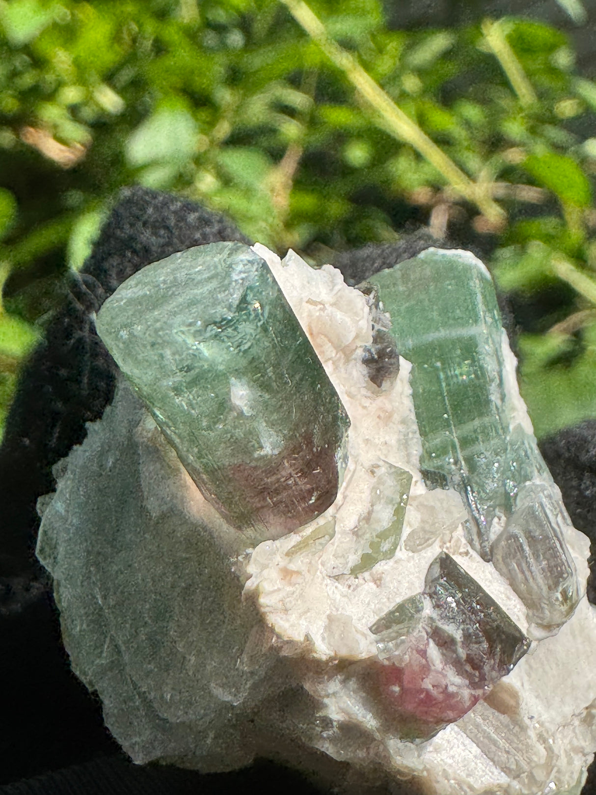 Tourmaline Specimen - 48g