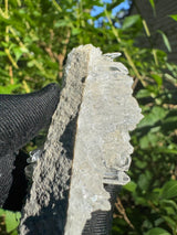 Faden Quartz Specimen - 28g