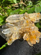 Faden Quartz Specimen - 28g