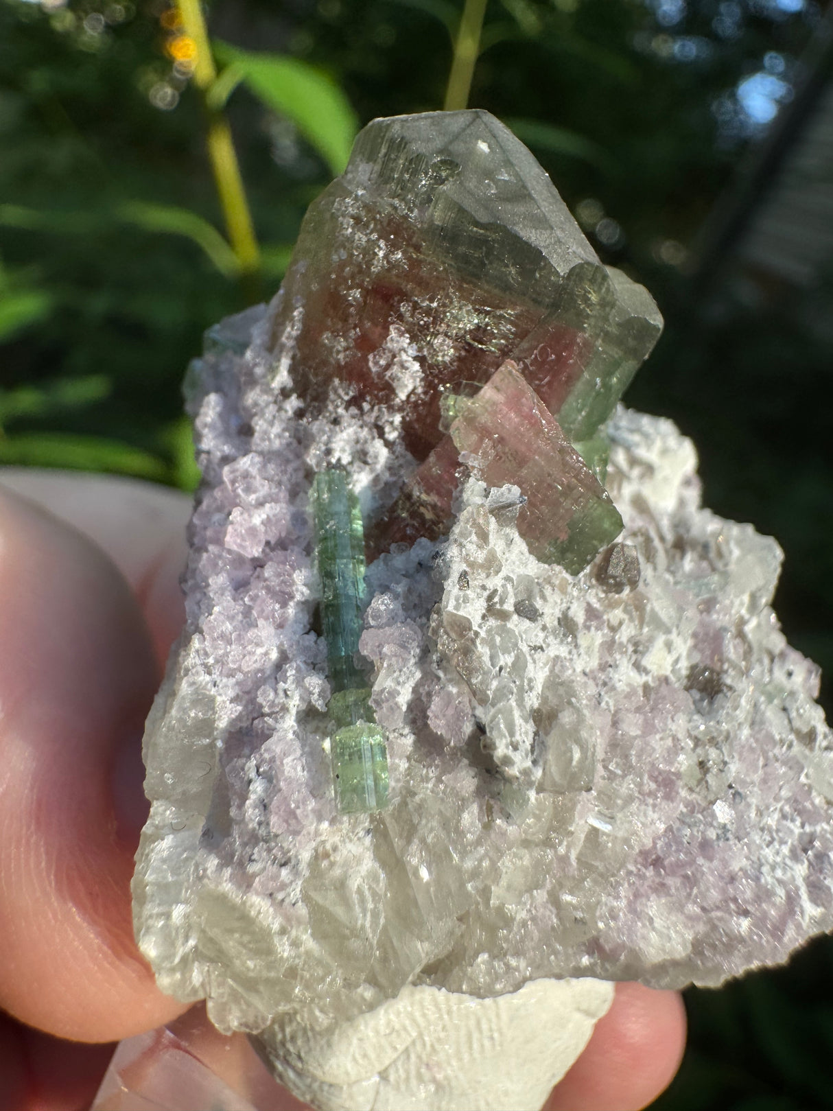 Tourmaline Specimen - 46g