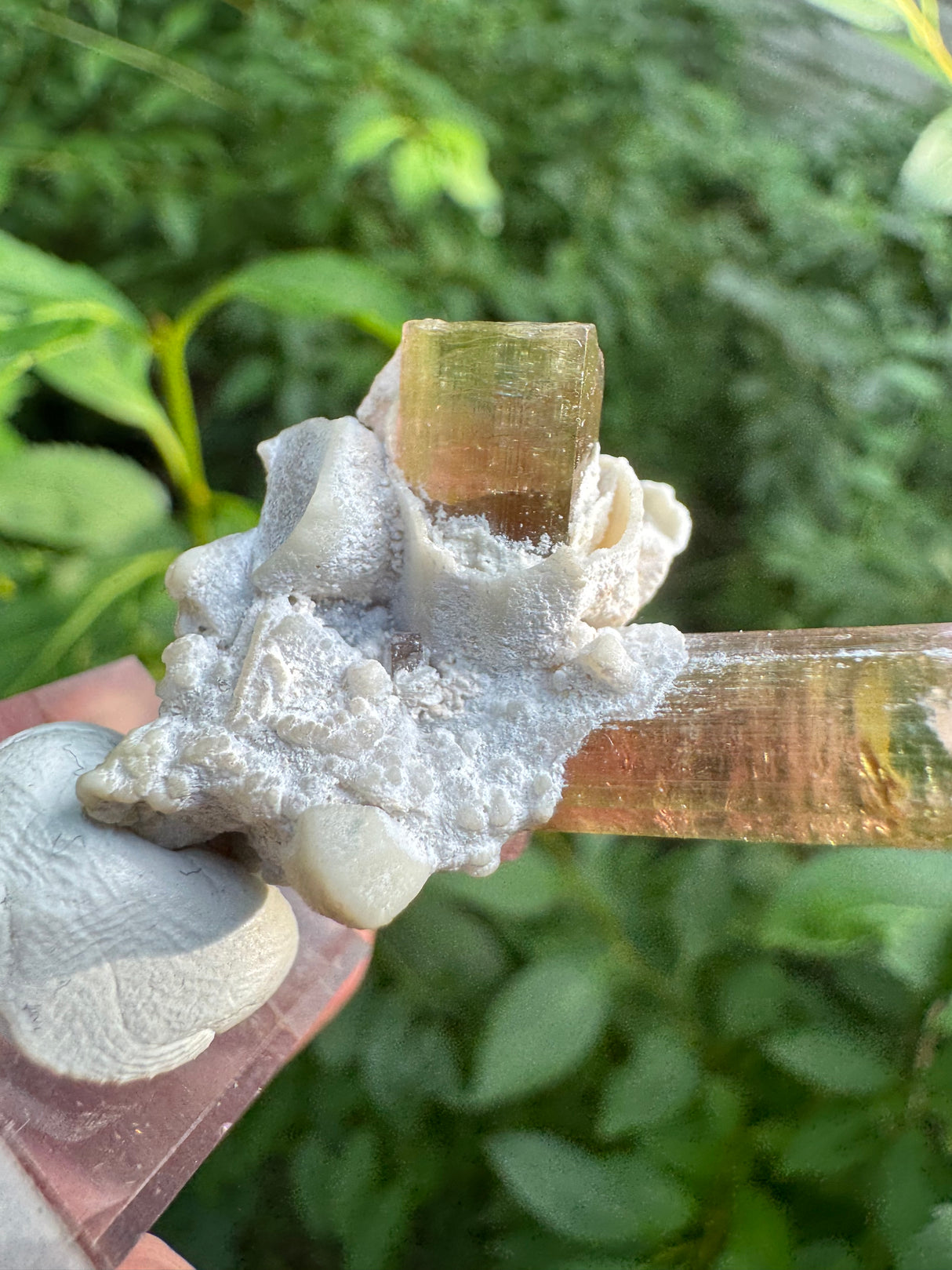 Tourmaline Specimen - 11g