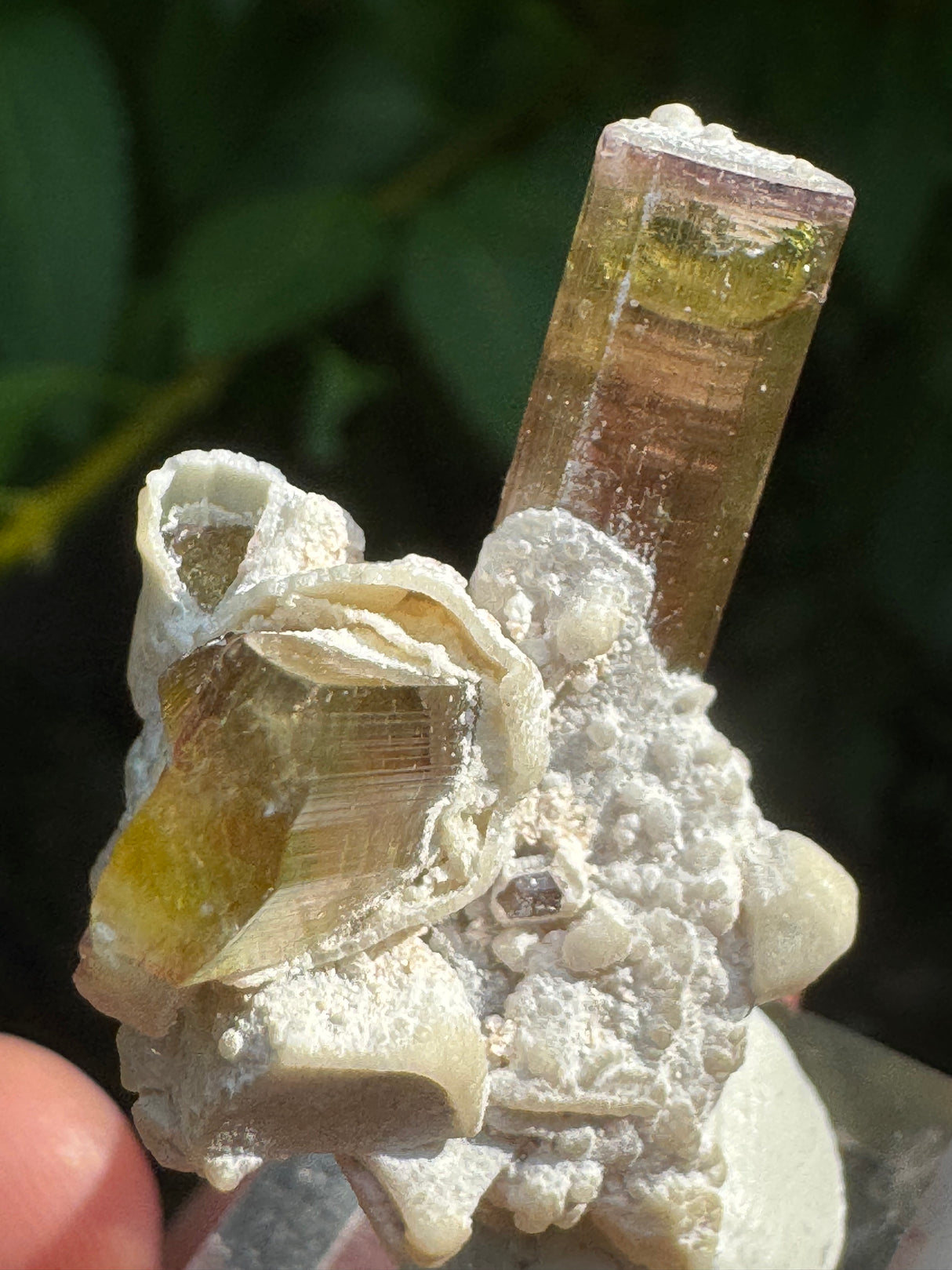 Tourmaline Specimen - 11g
