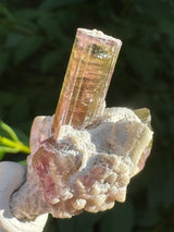 Tourmaline Specimen - 11g