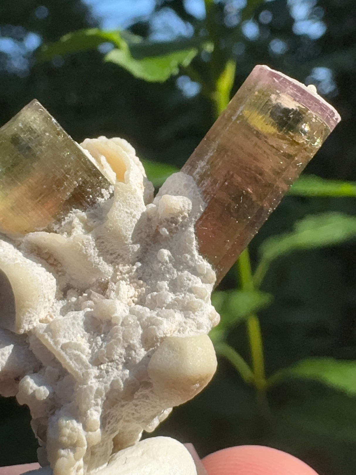 Tourmaline Specimen - 11g