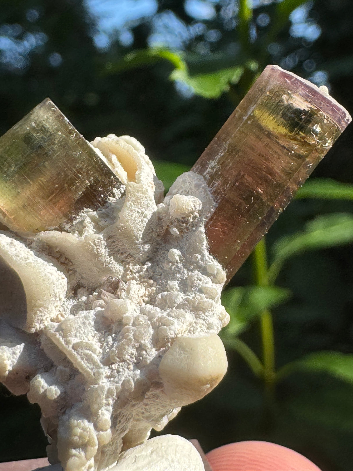 Tourmaline Specimen - 11g