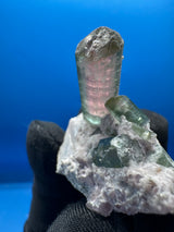 Watermelon Tourmaline Specimen - 34g