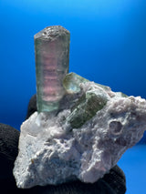 Watermelon Tourmaline Specimen - 34g