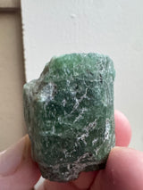 Zambian Emerald Specimen - 40g