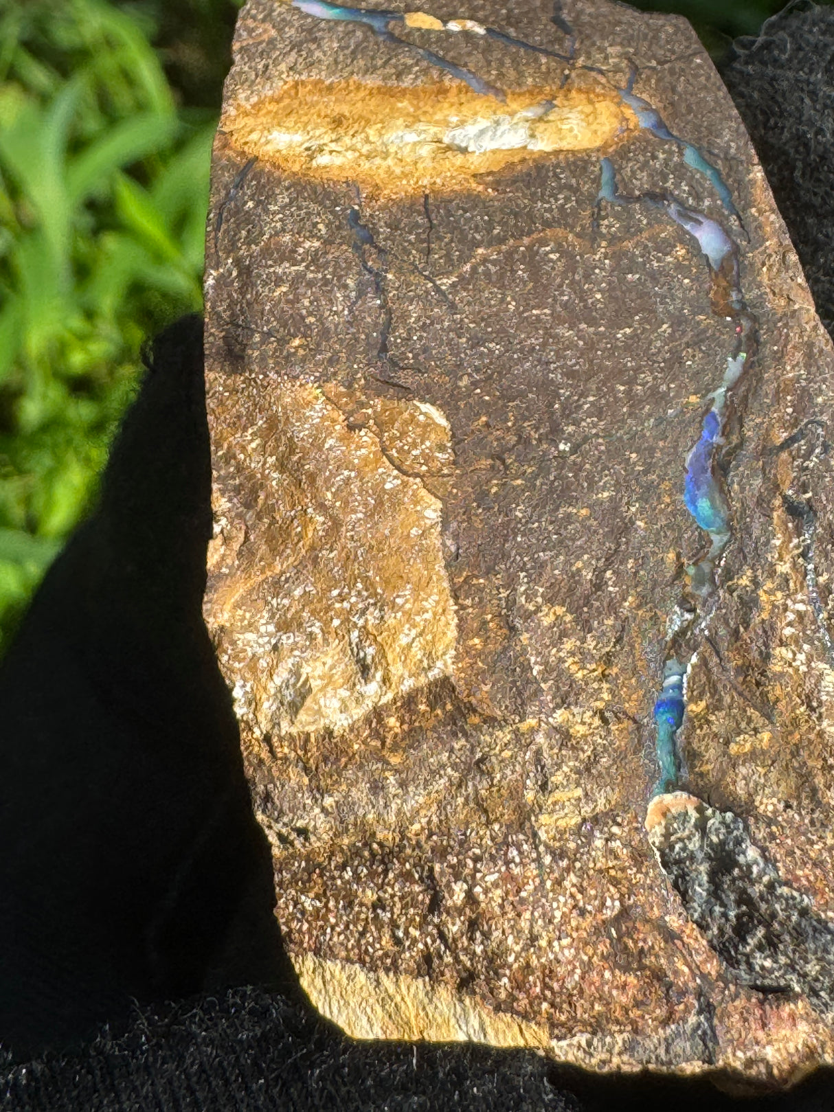 Opal Specimen - 41g