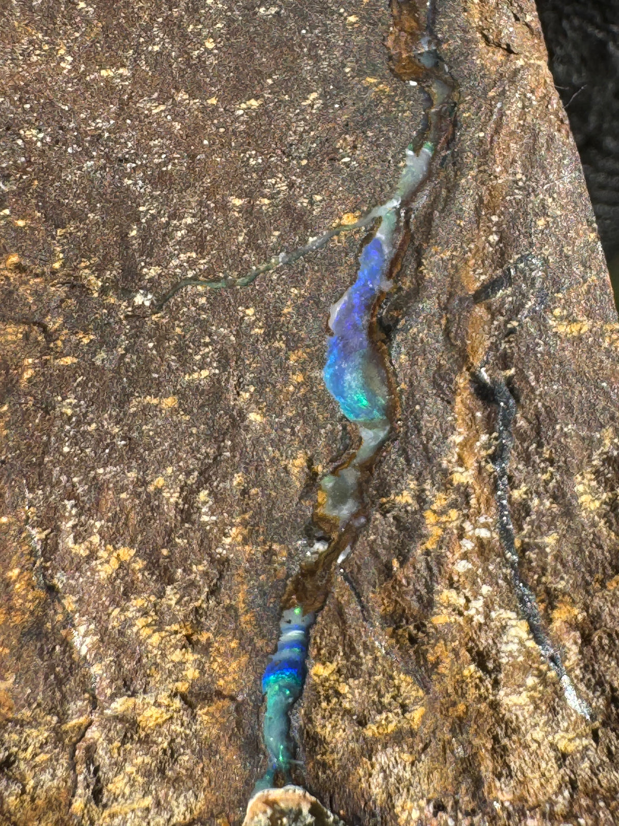 Opal Specimen - 41g
