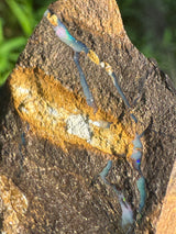 Opal Specimen - 41g