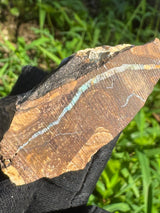 Opal Specimen - 41g