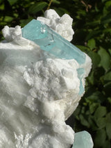 Aquarmarine Specimen - 384g