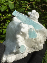 Aquarmarine Specimen - 384g