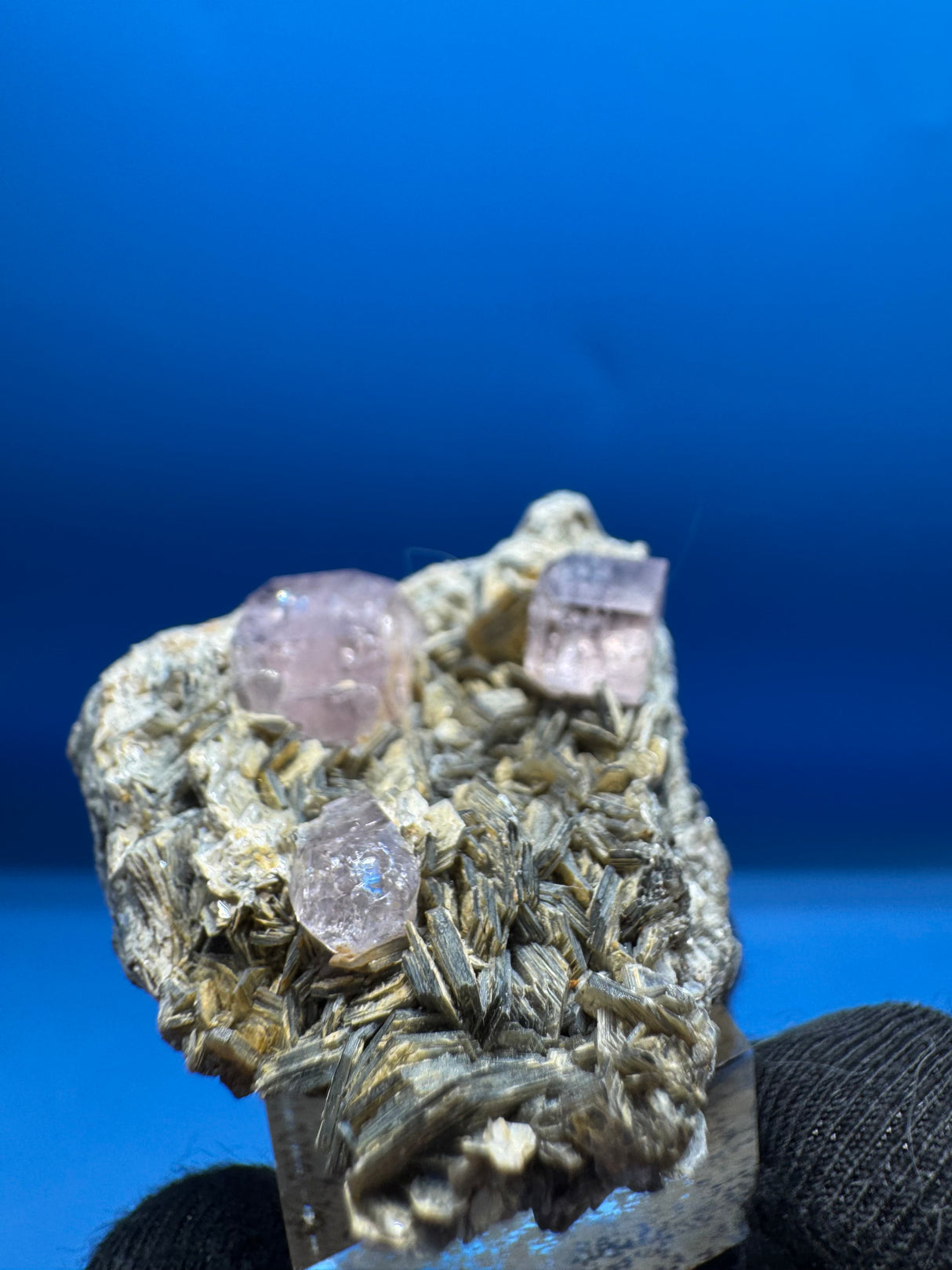 Pink Apetite Specimen - 36g