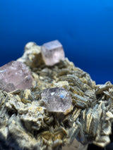 Pink Apetite Specimen - 36g