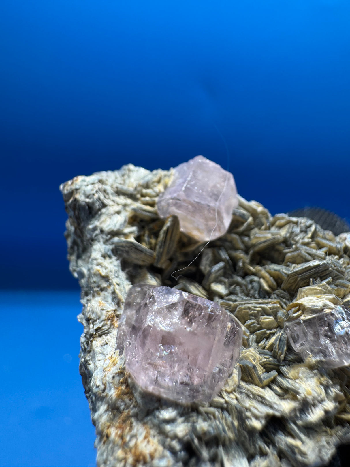 Pink Apetite Specimen - 36g