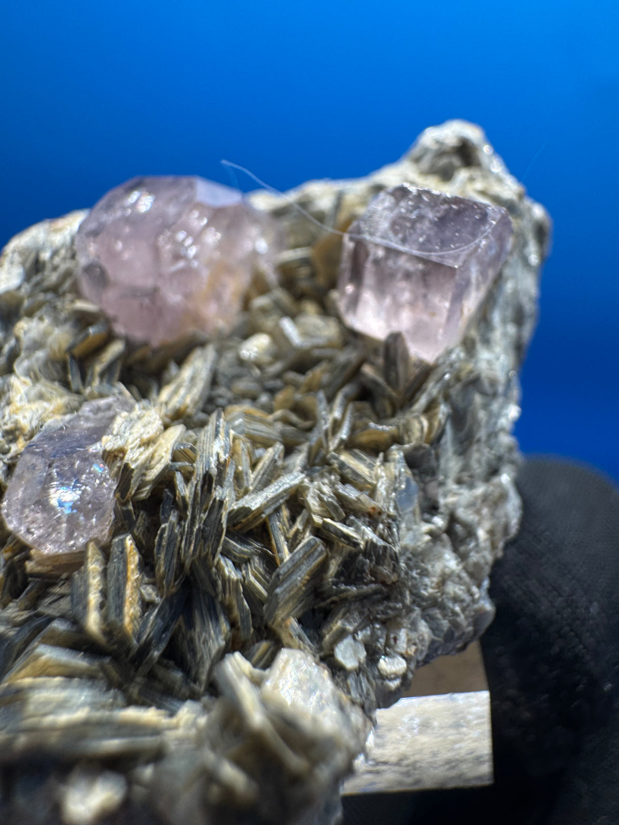 Pink Apetite Specimen - 36g