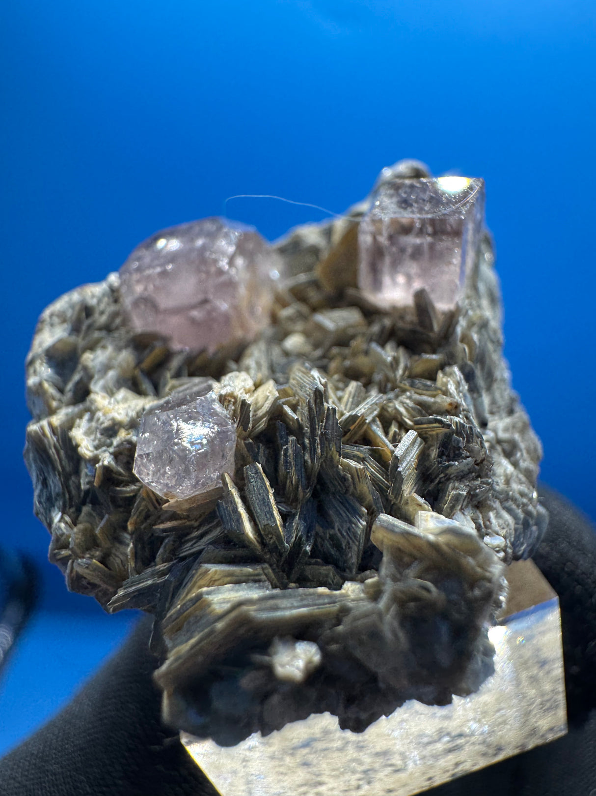 Pink Apetite Specimen - 36g