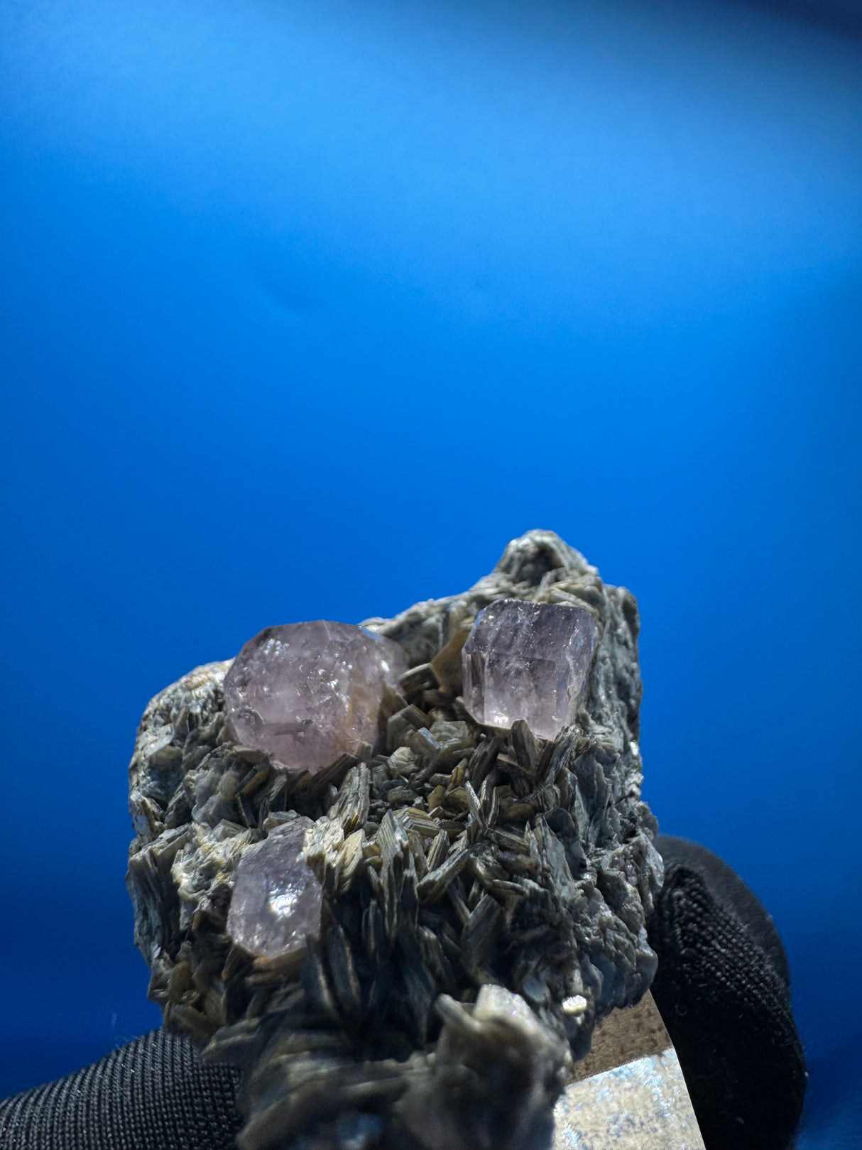 Pink Apetite Specimen - 36g