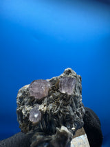 Pink Apetite Specimen - 36g