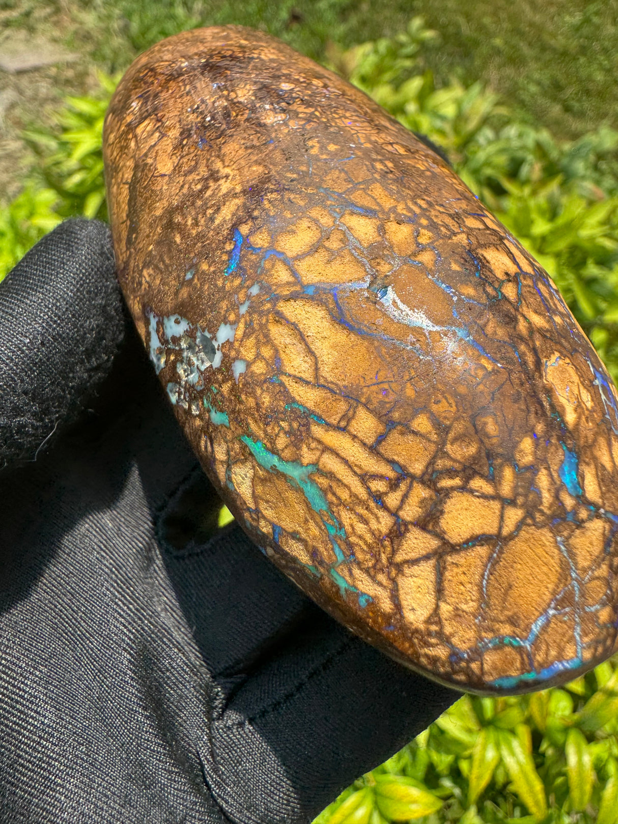 Rare Natural Boulder Opal – 251g