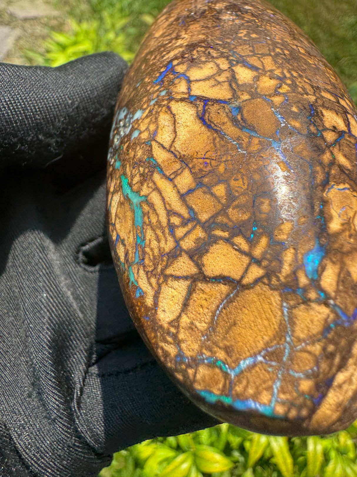 Rare Natural Boulder Opal – 251g